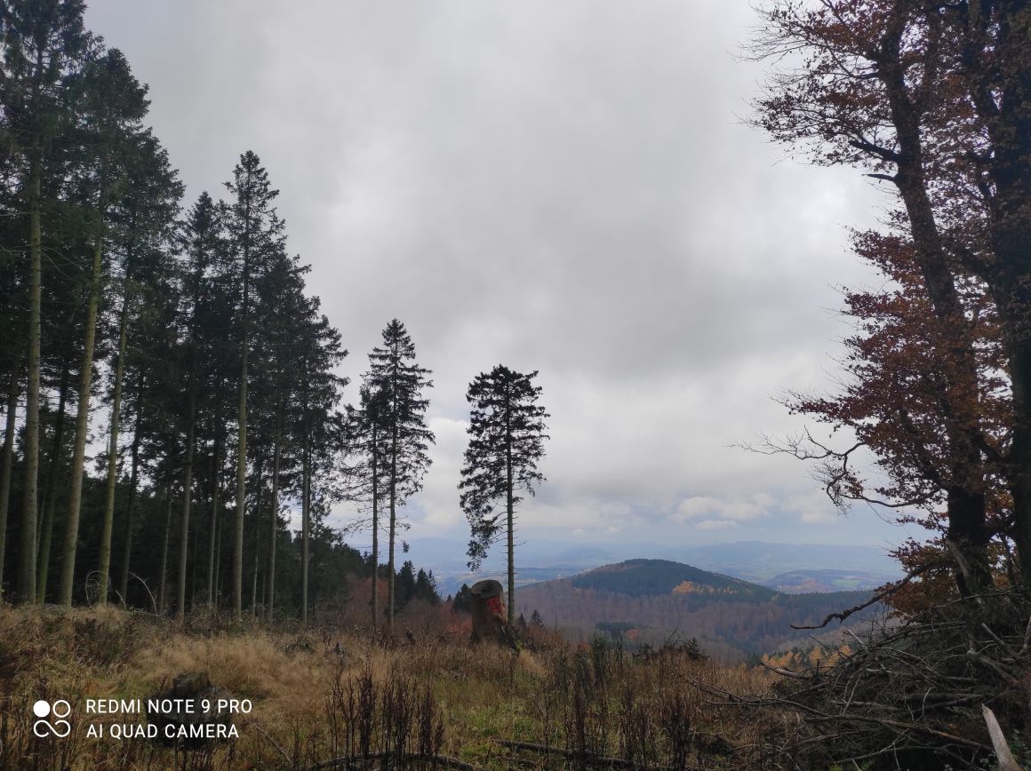 Blog-Test langer Titel langer Titel 25